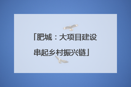 肥城：大项目建设串起乡村振兴链