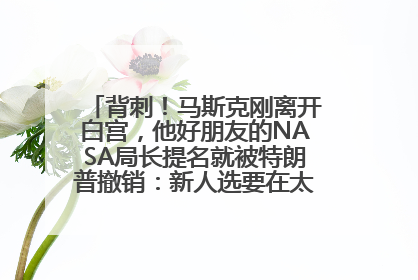 背刺！马斯克刚离开白宫，他好朋友的NASA局长提名就被特朗普撤销：新人选要在太空实现“美国优先”