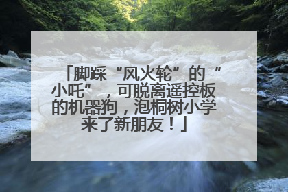脚踩“风火轮”的“小吒”，可脱离遥控板的机器狗，泡桐树小学来了新朋友！