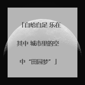 自给自足 乐在其中 城市里的空中“田园梦”