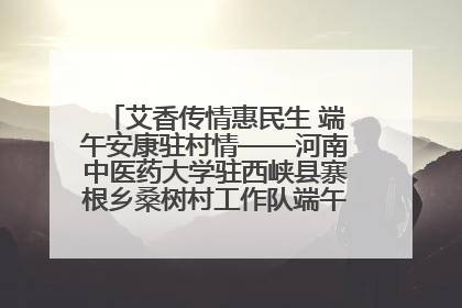 艾香传情惠民生 端午安康驻村情——河南中医药大学驻西峡县寨根乡桑树村工作队端午中医惠民记