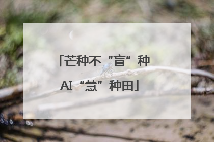 芒种不“盲”种 AI“慧”种田