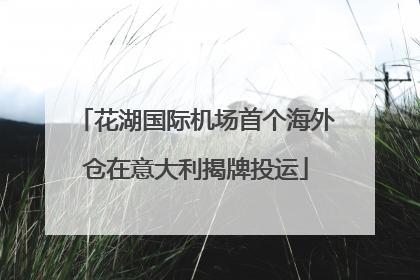 花湖国际机场首个海外仓在意大利揭牌投运