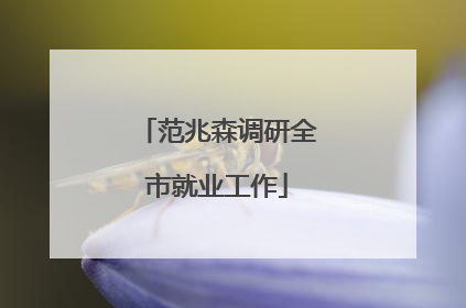 范兆森调研全市就业工作