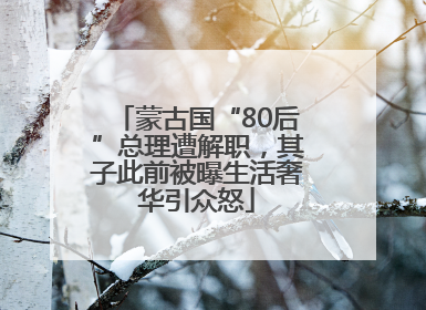 蒙古国“80后”总理遭解职，其子此前被曝生活奢华引众怒