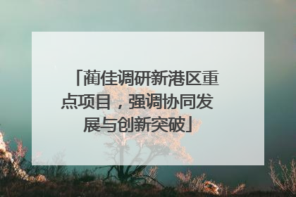 蔺佳调研新港区重点项目，强调协同发展与创新突破