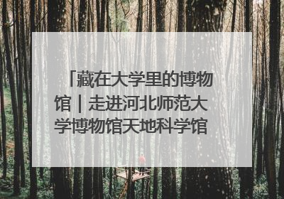 藏在大学里的博物馆｜走进河北师范大学博物馆天地科学馆：在校园里赴一场“宇宙之约”