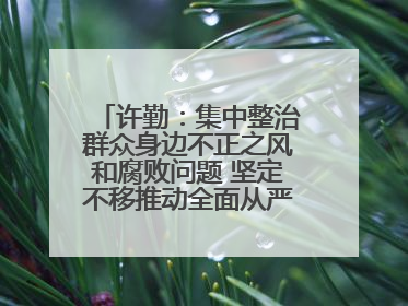 许勤：集中整治群众身边不正之风和腐败问题 坚定不移推动全面从严治党向基层延伸