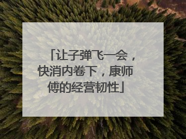 让子弹飞一会，快消内卷下，康师傅的经营韧性