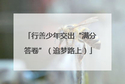 行善少年交出“满分答卷”（追梦路上）