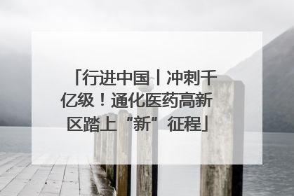 行进中国丨冲刺千亿级！通化医药高新区踏上“新”征程