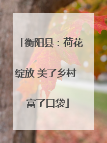 衡阳县：荷花绽放 美了乡村 富了口袋