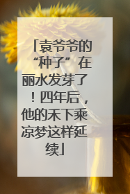 袁爷爷的“种子”在丽水发芽了！四年后，他的禾下乘凉梦这样延续
