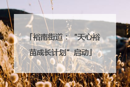裕南街道：“天心裕苗成长计划”启动