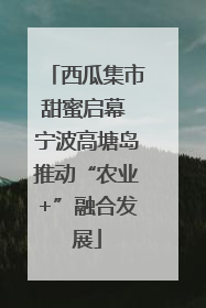 西瓜集市甜蜜启幕 宁波高塘岛推动“农业+”融合发展