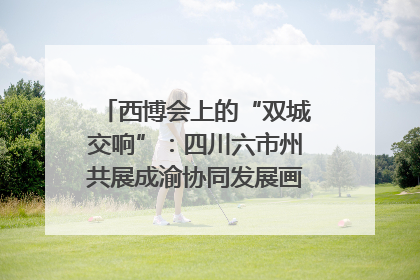 西博会上的“双城交响”：四川六市州共展成渝协同发展画卷｜西博视界