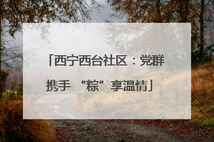 西宁西台社区：党群携手 “粽”享温情