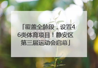覆盖全龄段，设置46类体育项目！静安区第三届运动会启幕