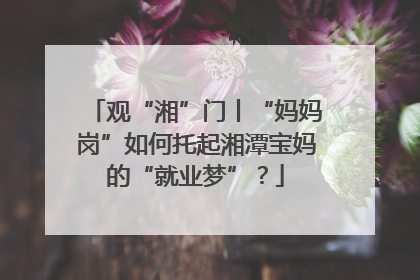 观“湘”门丨“妈妈岗”如何托起湘潭宝妈的“就业梦”？