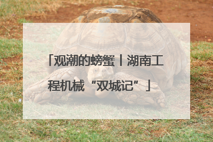观潮的螃蟹丨湖南工程机械“双城记”