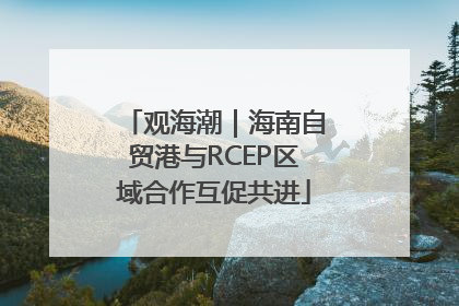 观海潮｜海南自贸港与RCEP区域合作互促共进