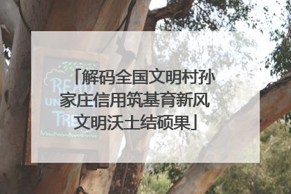 解码全国文明村孙家庄信用筑基育新风文明沃土结硕果