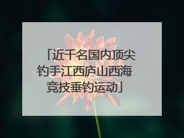 近千名国内顶尖钓手江西庐山西海竞技垂钓运动