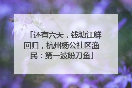 还有六天，钱塘江鲜回归，杭州杨公社区渔民：第一波盼刀鱼