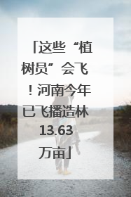 这些“植树员”会飞！河南今年已飞播造林13.63万亩