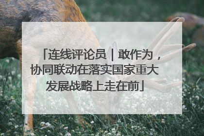 连线评论员｜敢作为，协同联动在落实国家重大发展战略上走在前