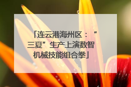 连云港海州区：“三夏”生产上演数智机械技能组合拳