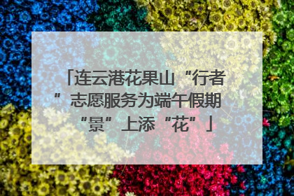 连云港花果山“行者”志愿服务为端午假期“景”上添“花”