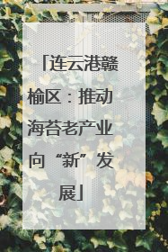 连云港赣榆区：推动海苔老产业向“新”发展
