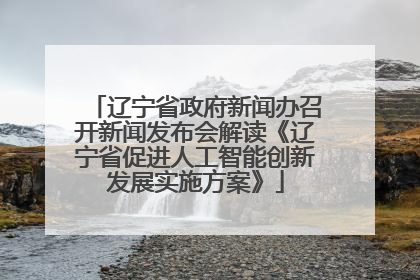 辽宁省政府新闻办召开新闻发布会解读《辽宁省促进人工智能创新发展实施方案》