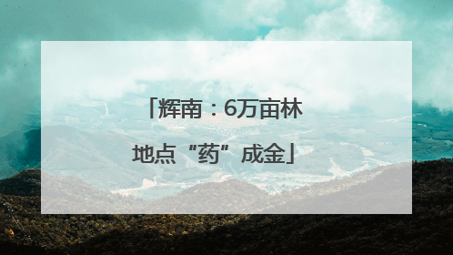 辉南：6万亩林地点“药”成金