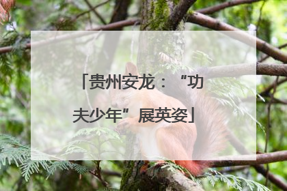 贵州安龙：“功夫少年”展英姿
