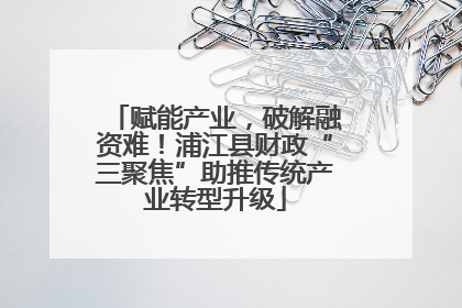 赋能产业，破解融资难！浦江县财政“三聚焦”助推传统产业转型升级