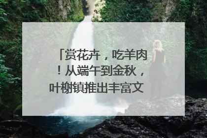 赏花卉，吃羊肉！从端午到金秋，叶榭镇推出丰富文旅活动邀您爽玩