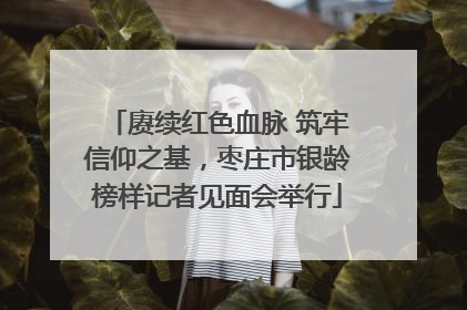 赓续红色血脉 筑牢信仰之基，枣庄市银龄榜样记者见面会举行