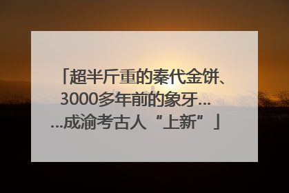 超半斤重的秦代金饼、3000多年前的象牙……成渝考古人“上新”