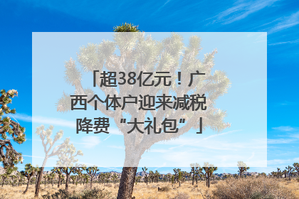 超38亿元！广西个体户迎来减税降费“大礼包”