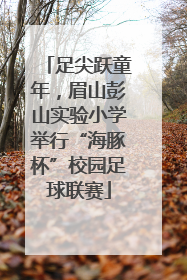 足尖跃童年，眉山彭山实验小学举行“海豚杯”校园足球联赛