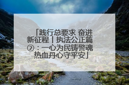 践行总要求 奋进新征程丨执法公正篇②：一心为民铸警魂 热血丹心守平安