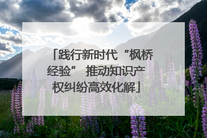 践行新时代“枫桥经验” 推动知识产权纠纷高效化解