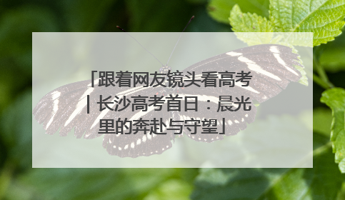 跟着网友镜头看高考｜长沙高考首日：晨光里的奔赴与守望