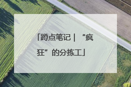 蹲点笔记｜“疯狂”的分拣工