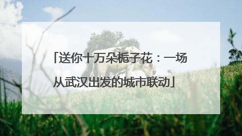 送你十万朵栀子花：一场从武汉出发的城市联动