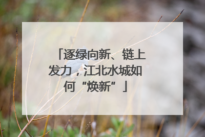 逐绿向新、链上发力，江北水城如何“焕新”