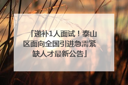 递补1人面试！泰山区面向全国引进急需紧缺人才最新公告