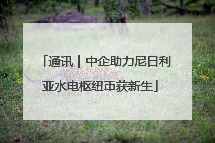 通讯｜中企助力尼日利亚水电枢纽重获新生
